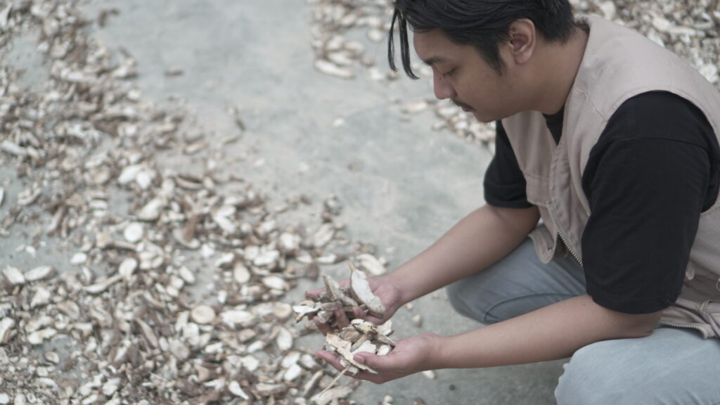 Harga Gaplek Singkong per Kg